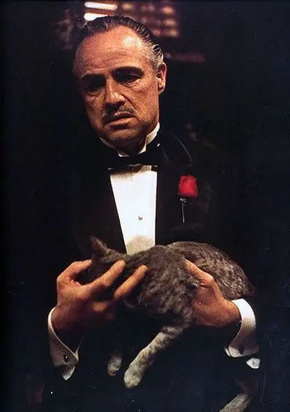 al pacino
