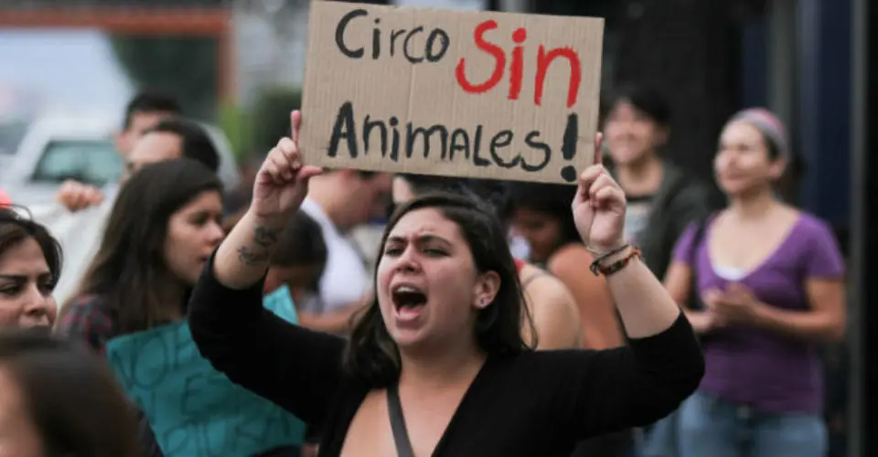 Es necesaria la experimentacion animalY