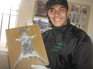 experimentacion animal