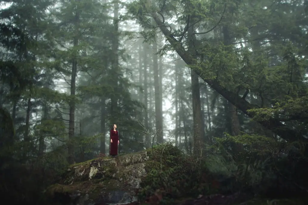 Elizabeth Gadd La “Selfie” Como nunca la habías visto.