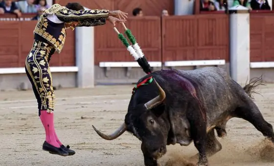 Es necesaria la experimentacion animalY