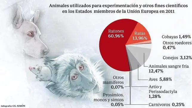 Maltrato animal o experimentación?