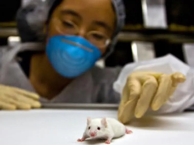 Es necesaria la experimentacion animalY