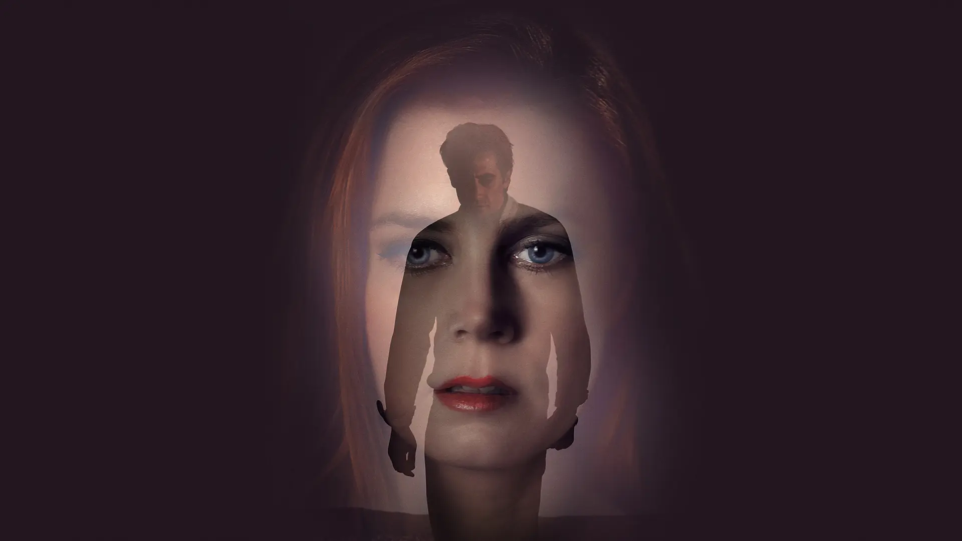 nocturnal animals