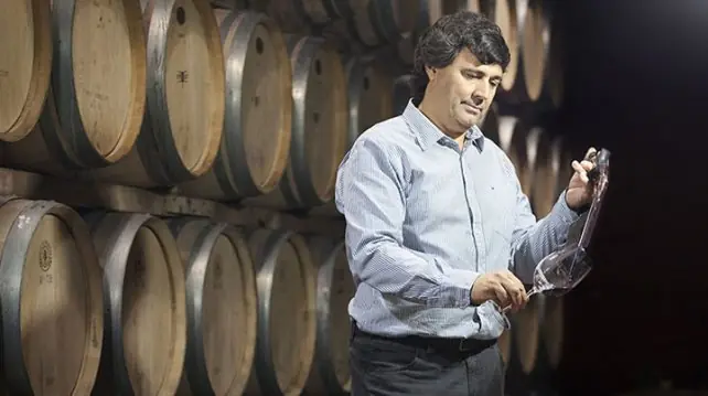 Un cabernet mendocino premiado como el mejor tinto del mundo