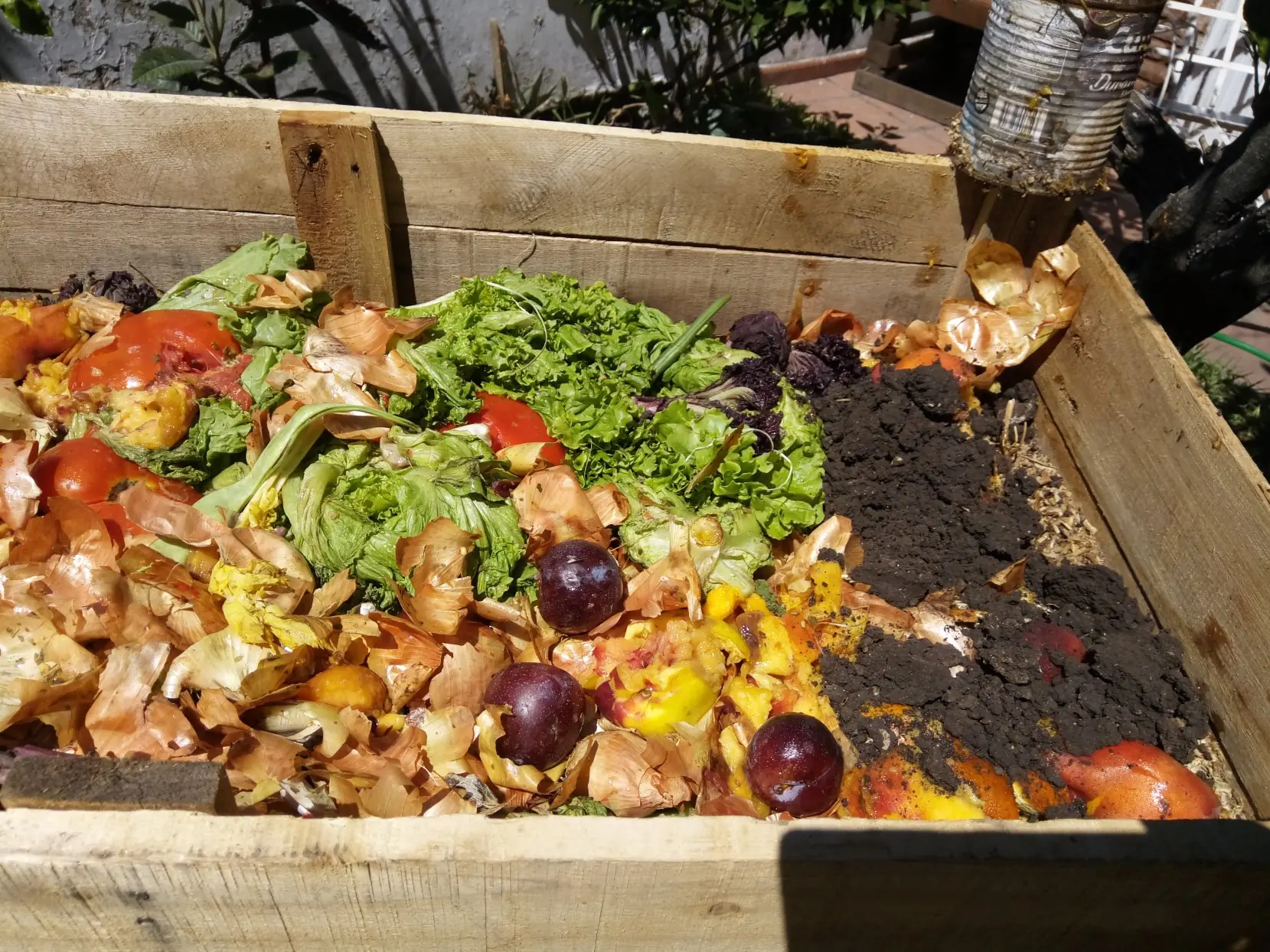 huerta organica