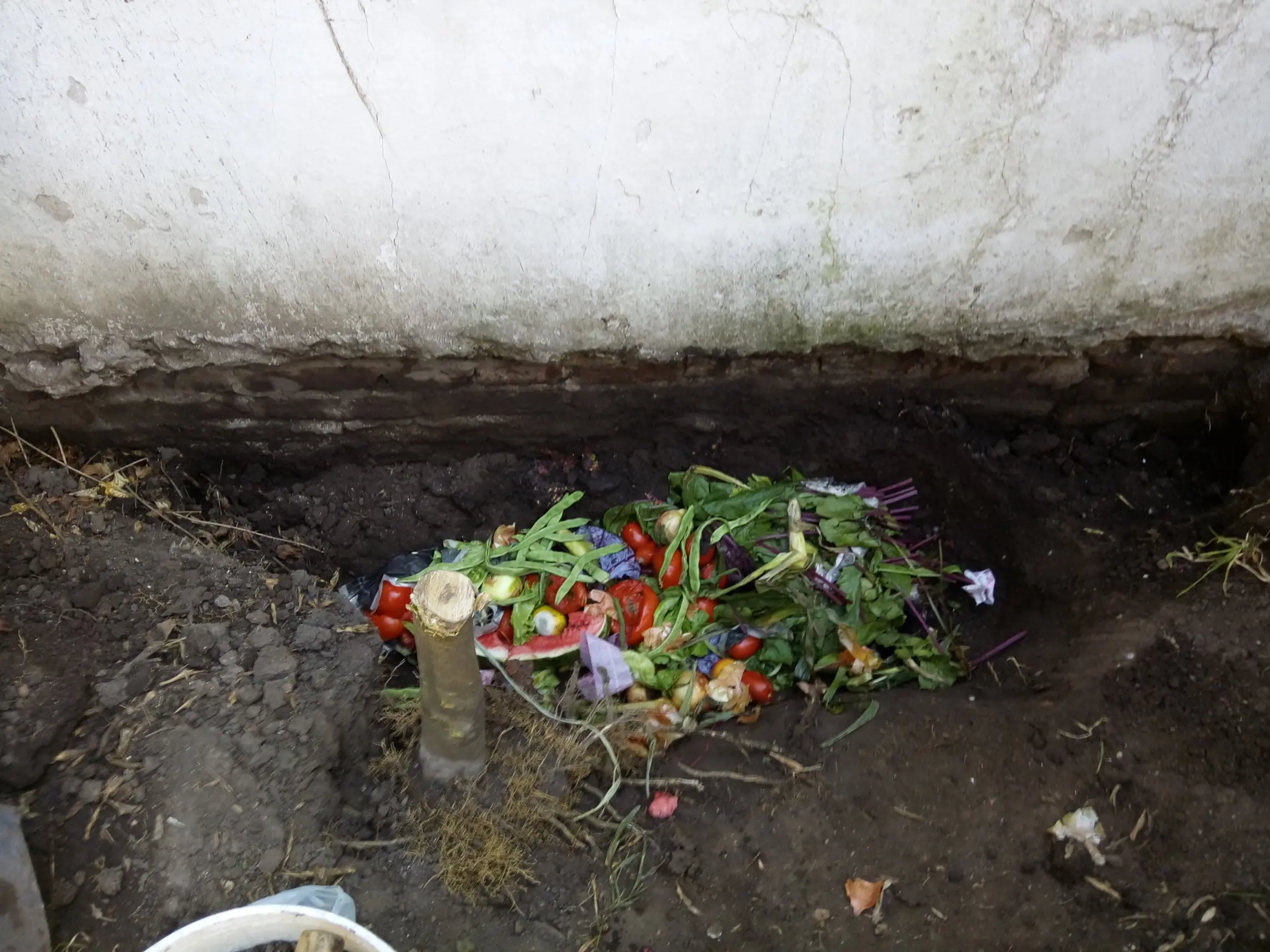 Huerta rústica en altura hecha por mí