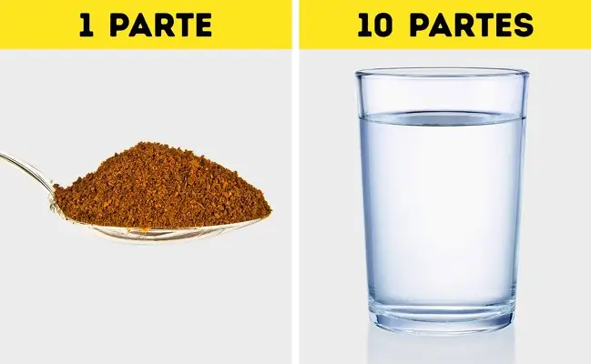 bien