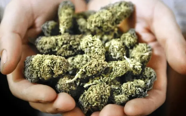 marihuana