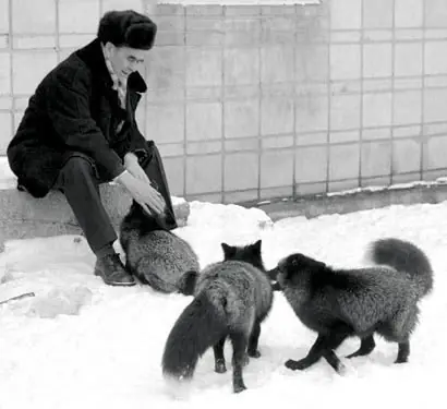 [IC] La domesticación de los caninos