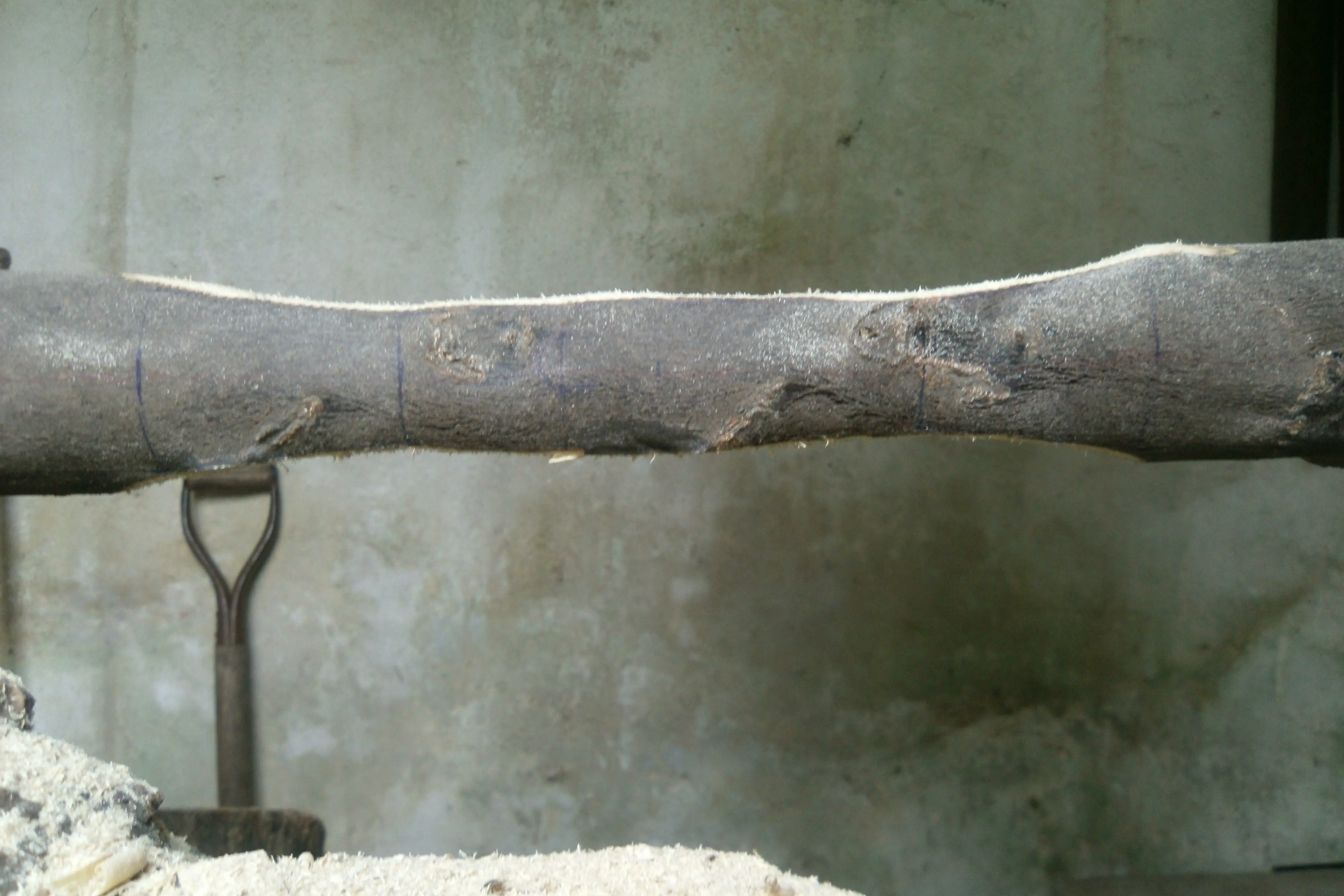 longbow