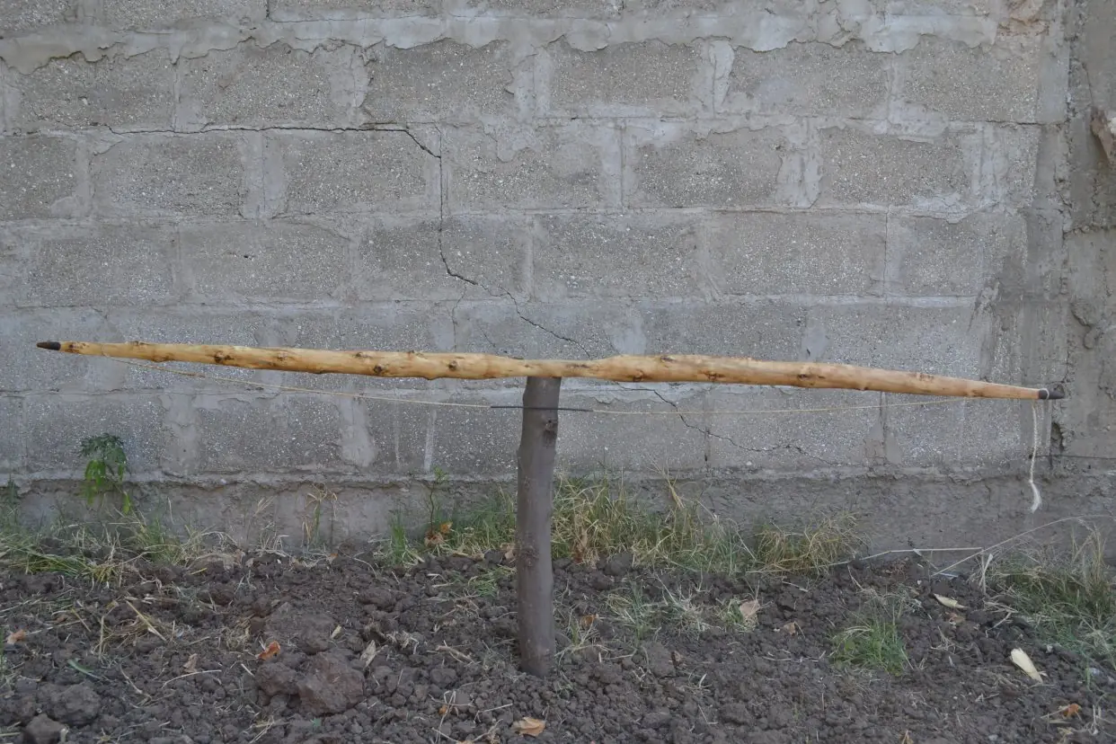 flatbow