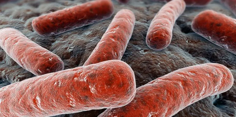 Aterrador, las bacterias mas mortales para los humanos