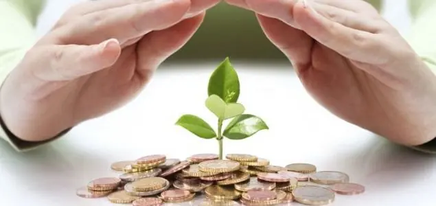 Cómo cuidar el dinero y hacerlo crecer