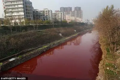 rios rojos