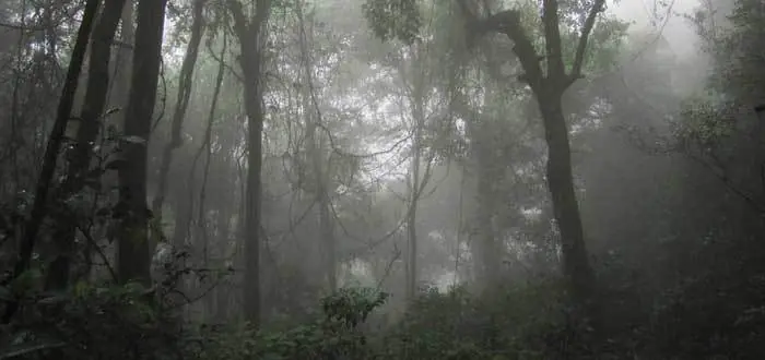 clima