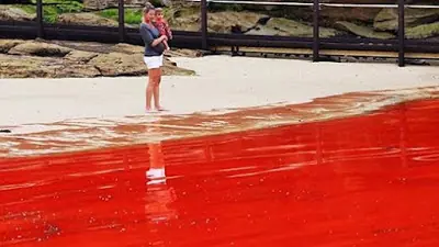 Los ríos se vuelven rojos alrededor del mundo