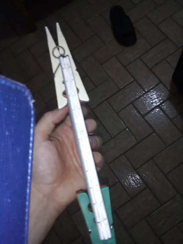 hojas
