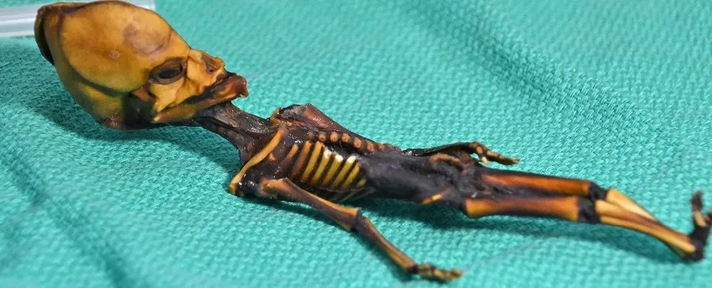 diminuto esqueleto “alienígena” ha sido finalmente resuelto