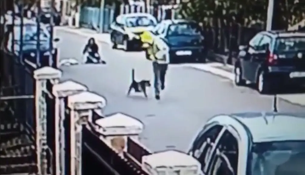 Video: heroico perro callejero salva una mujer de un ladrón