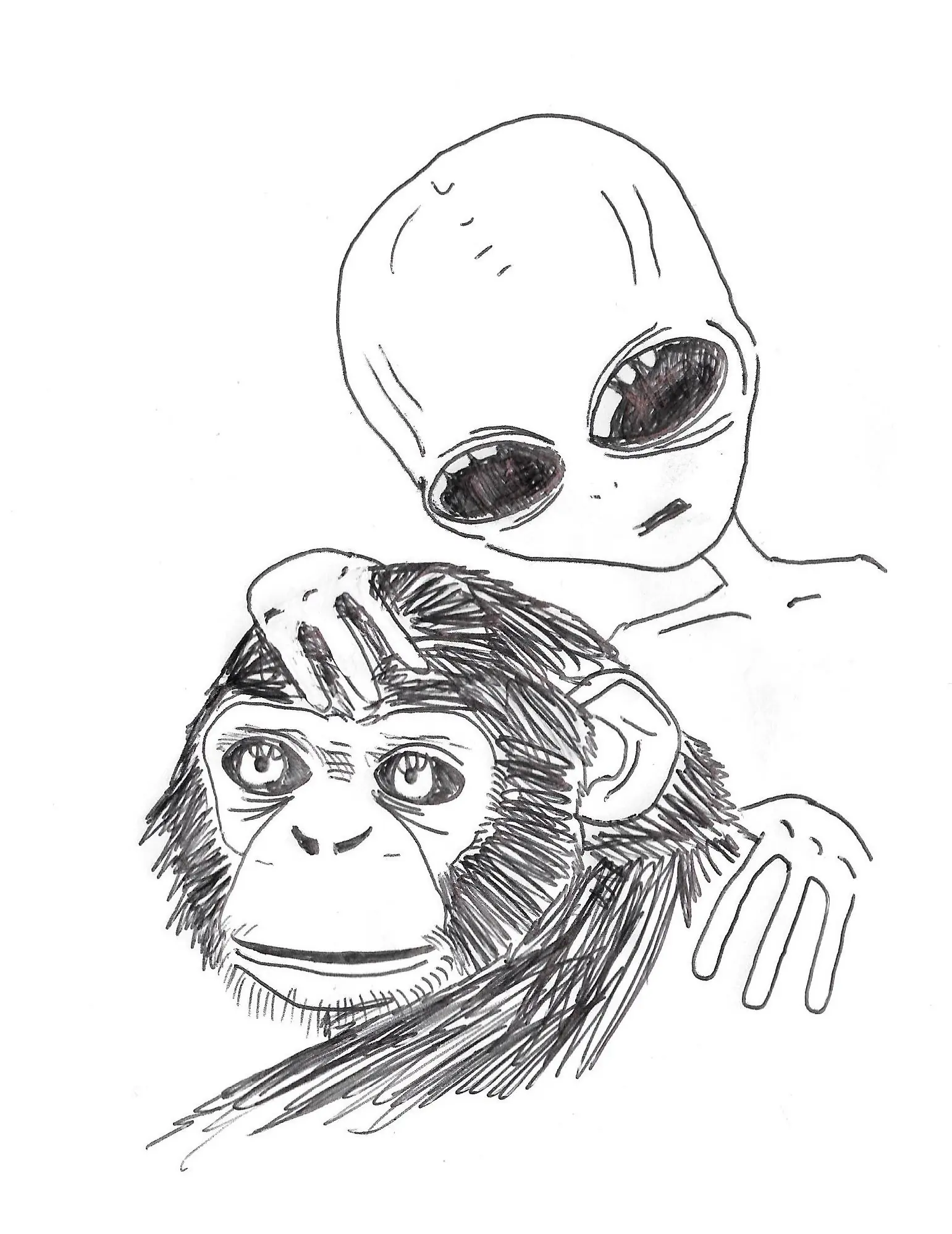 Te muestro mis asquerosos dibujos papu