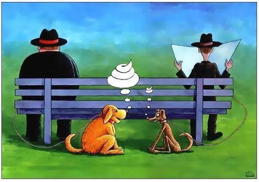 El humor gráfico como lenguaje universal