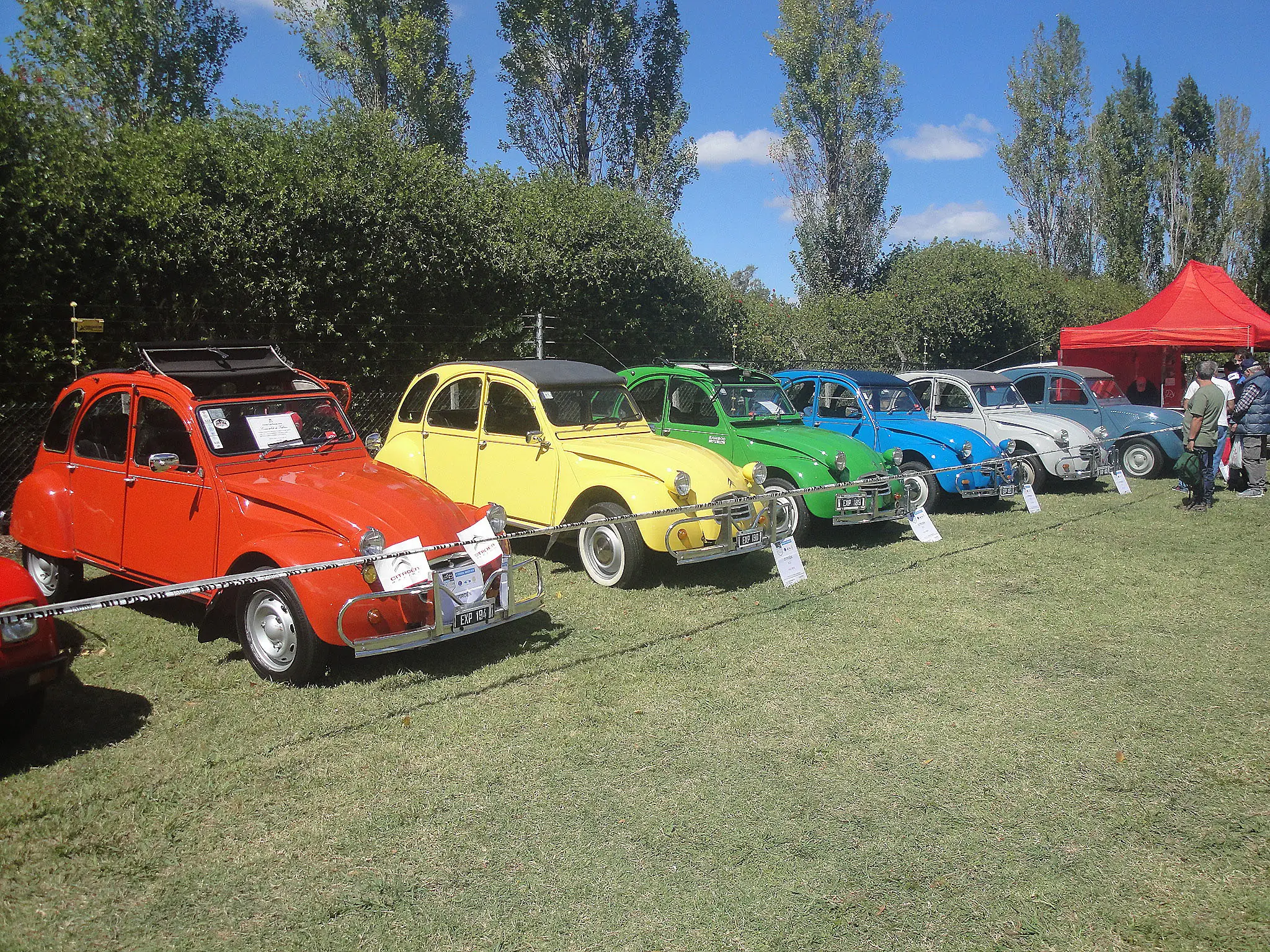 autos historicos argentinos