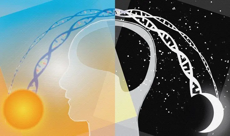 Por qué nos afecta la primavera según la ciencia