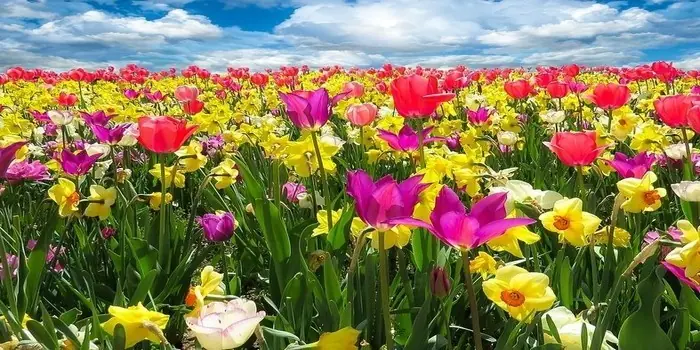aumenta en primavera