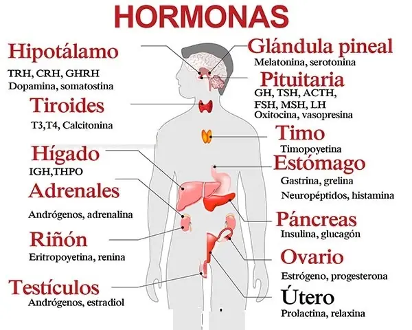 segun la ciencia