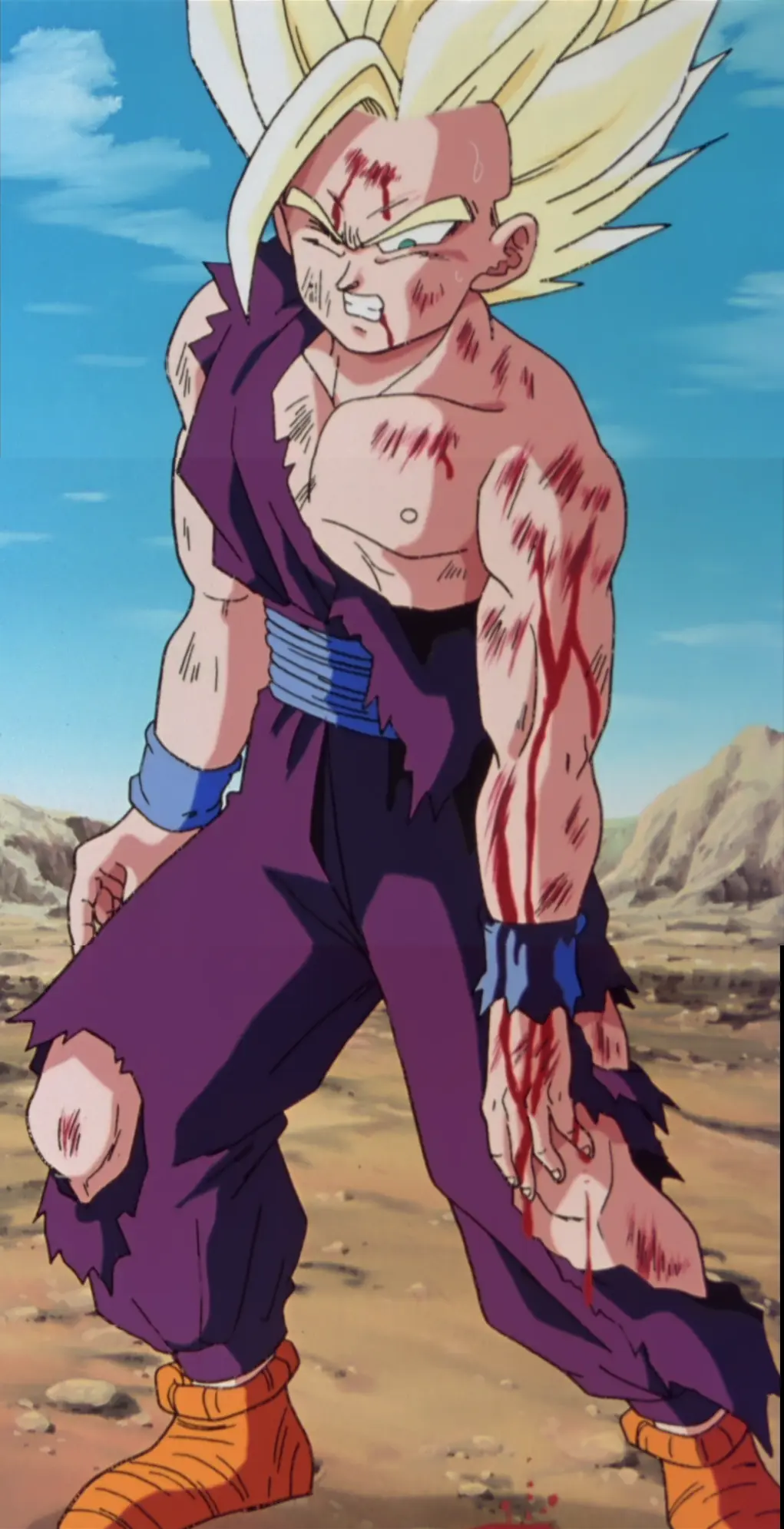 dragon ball super dragon ball super