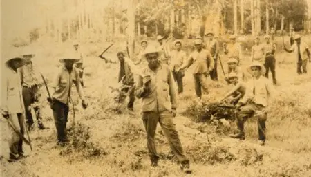 fidel