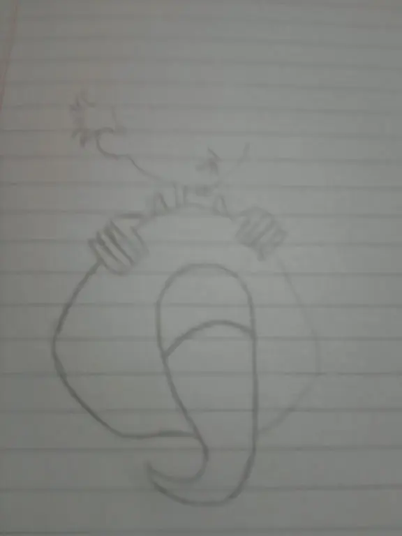 hice