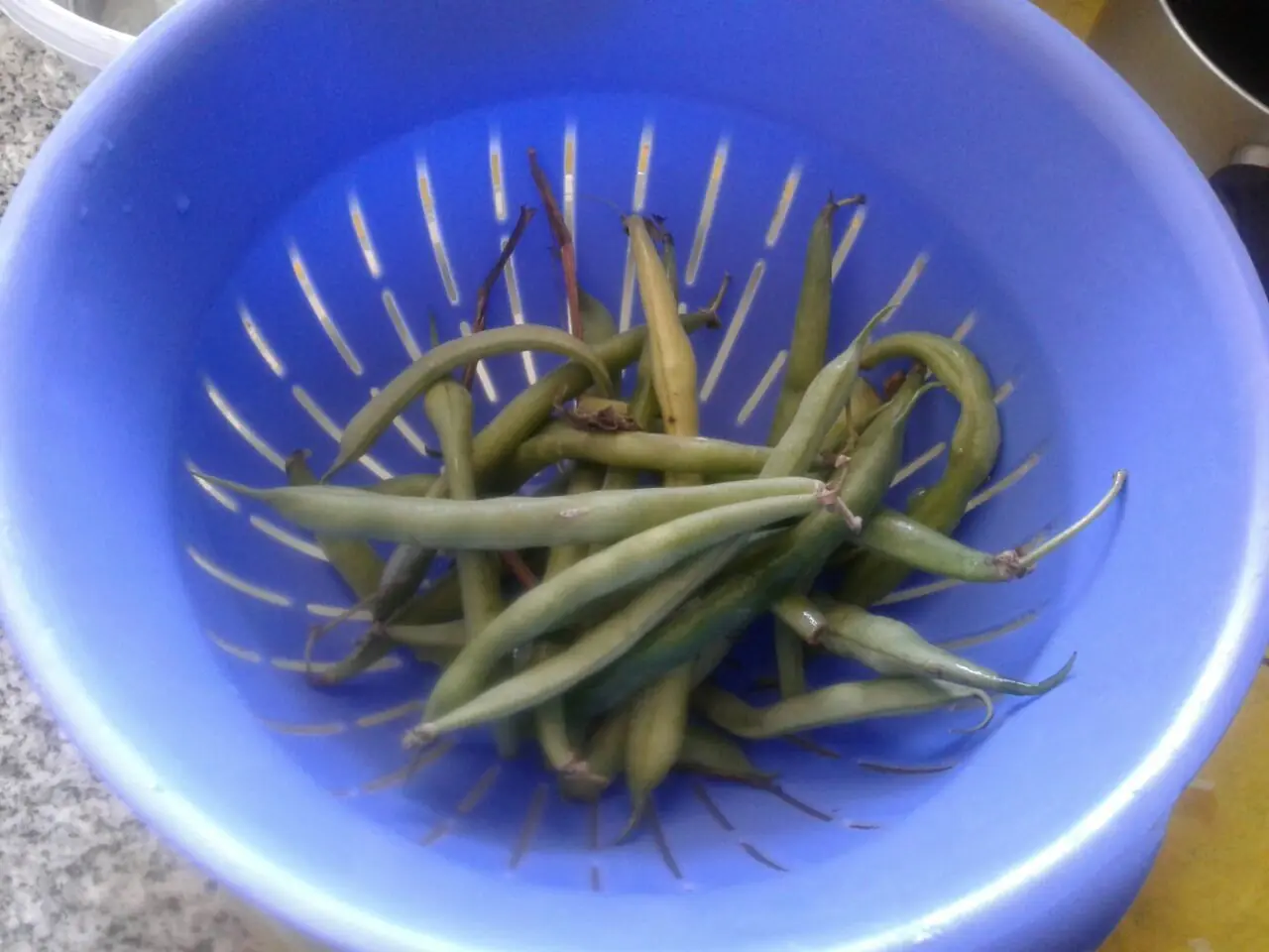 manaos y pitusas