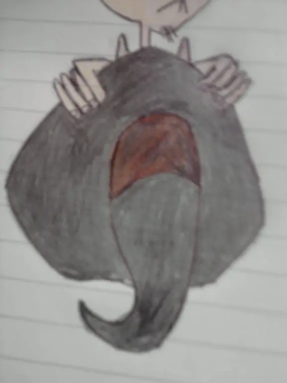 hice