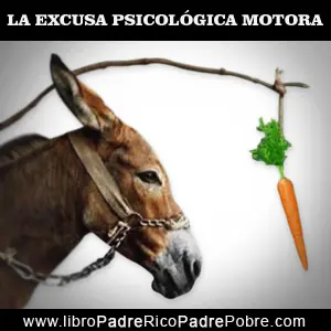 sus votantes