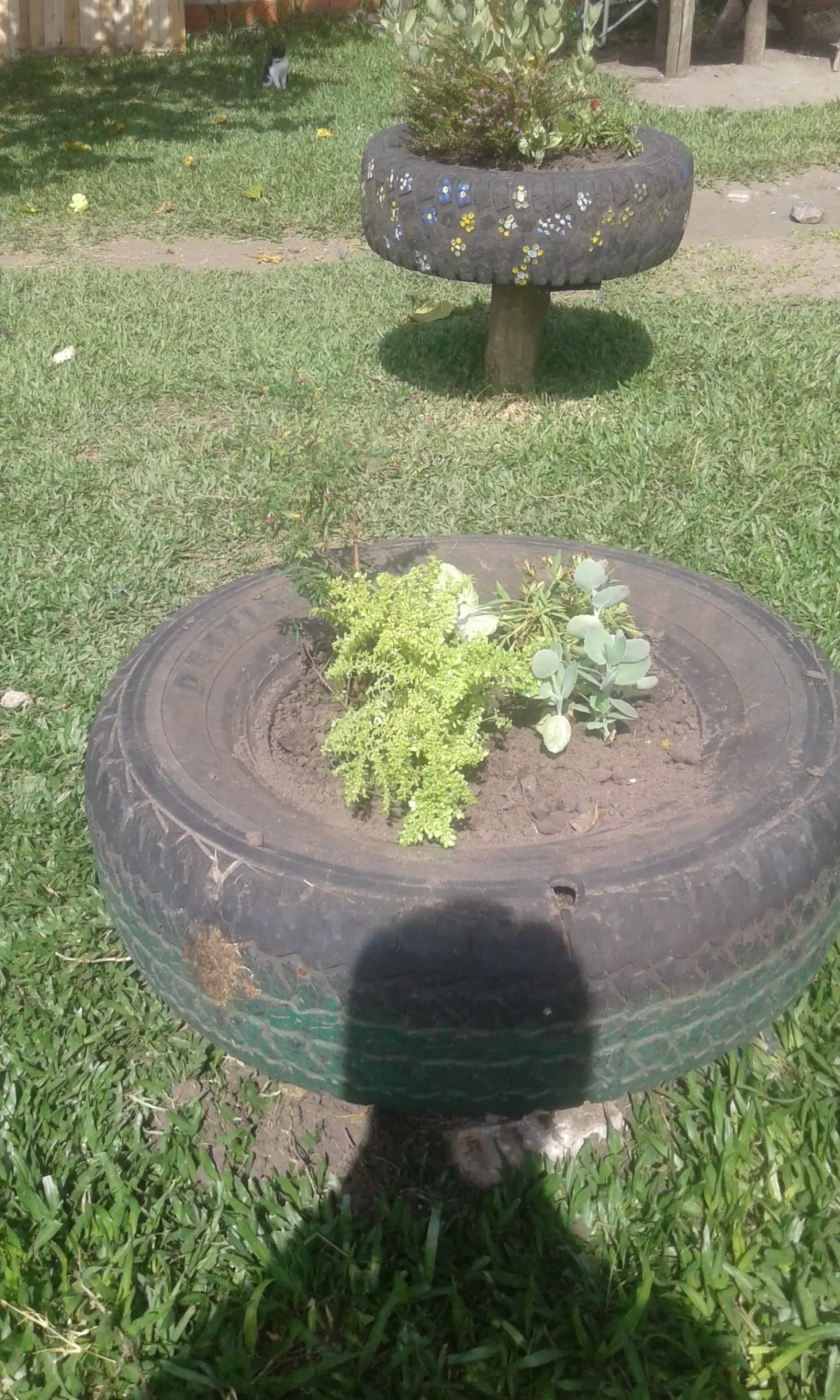 Jardin