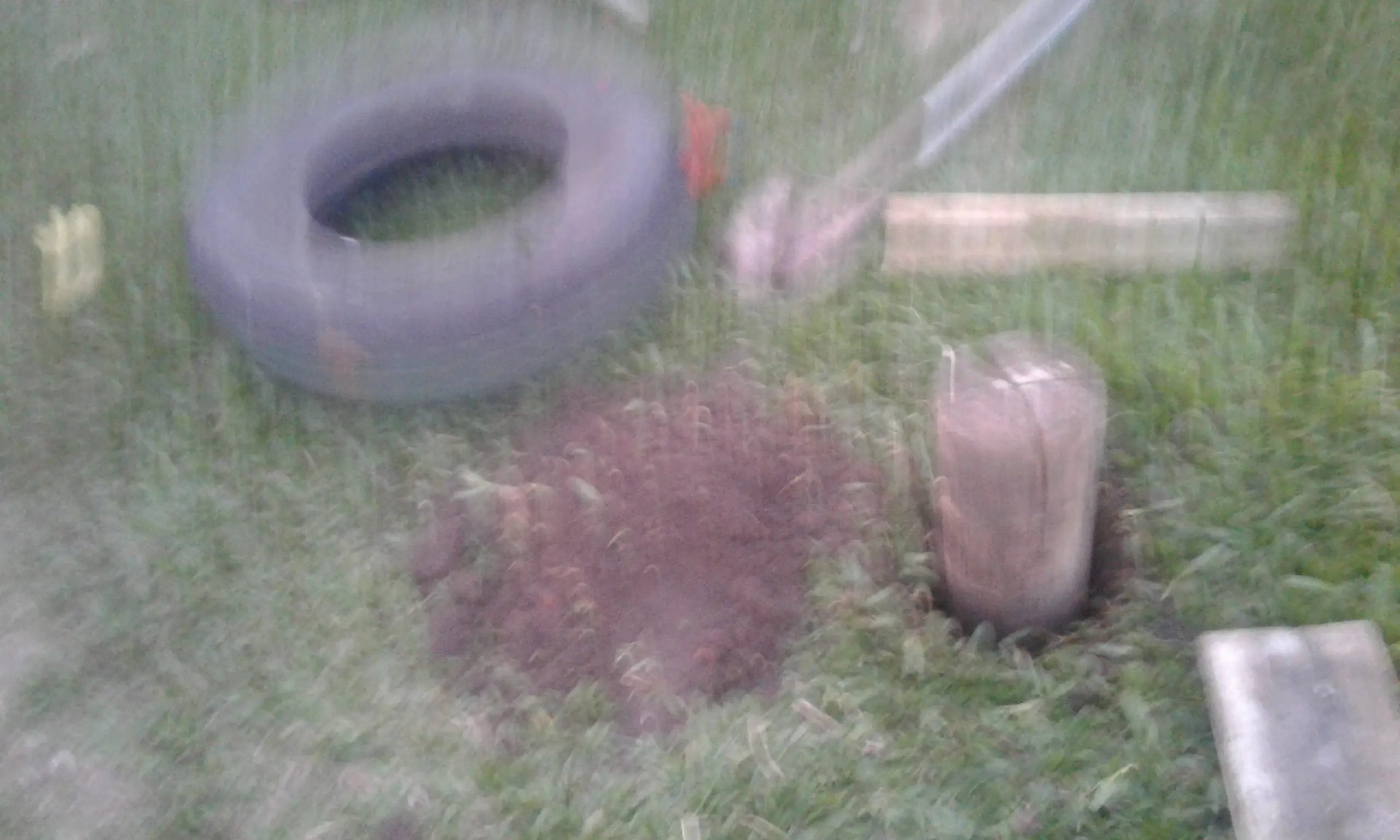 Plantas