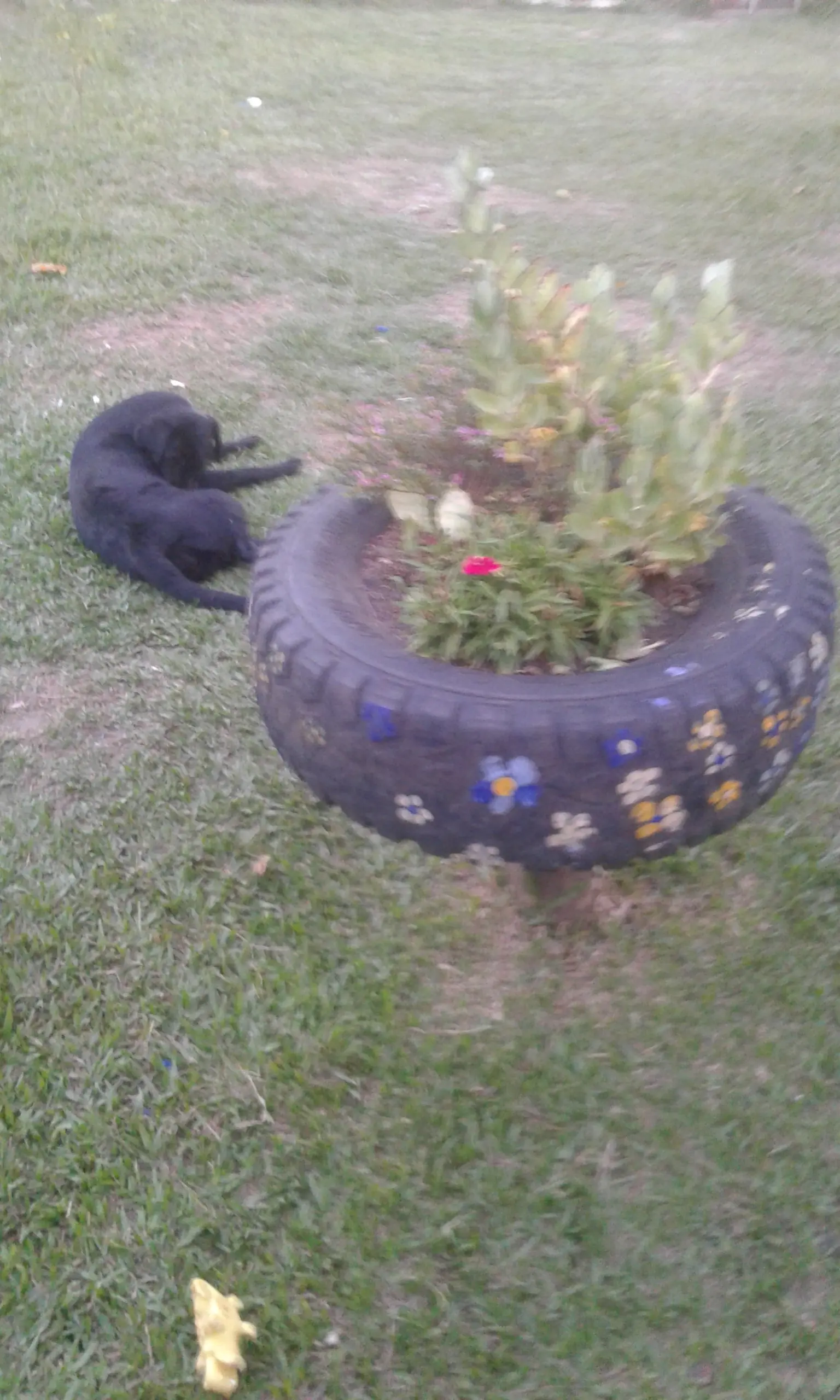 Hice un jardin flotante con cubiertas viejas