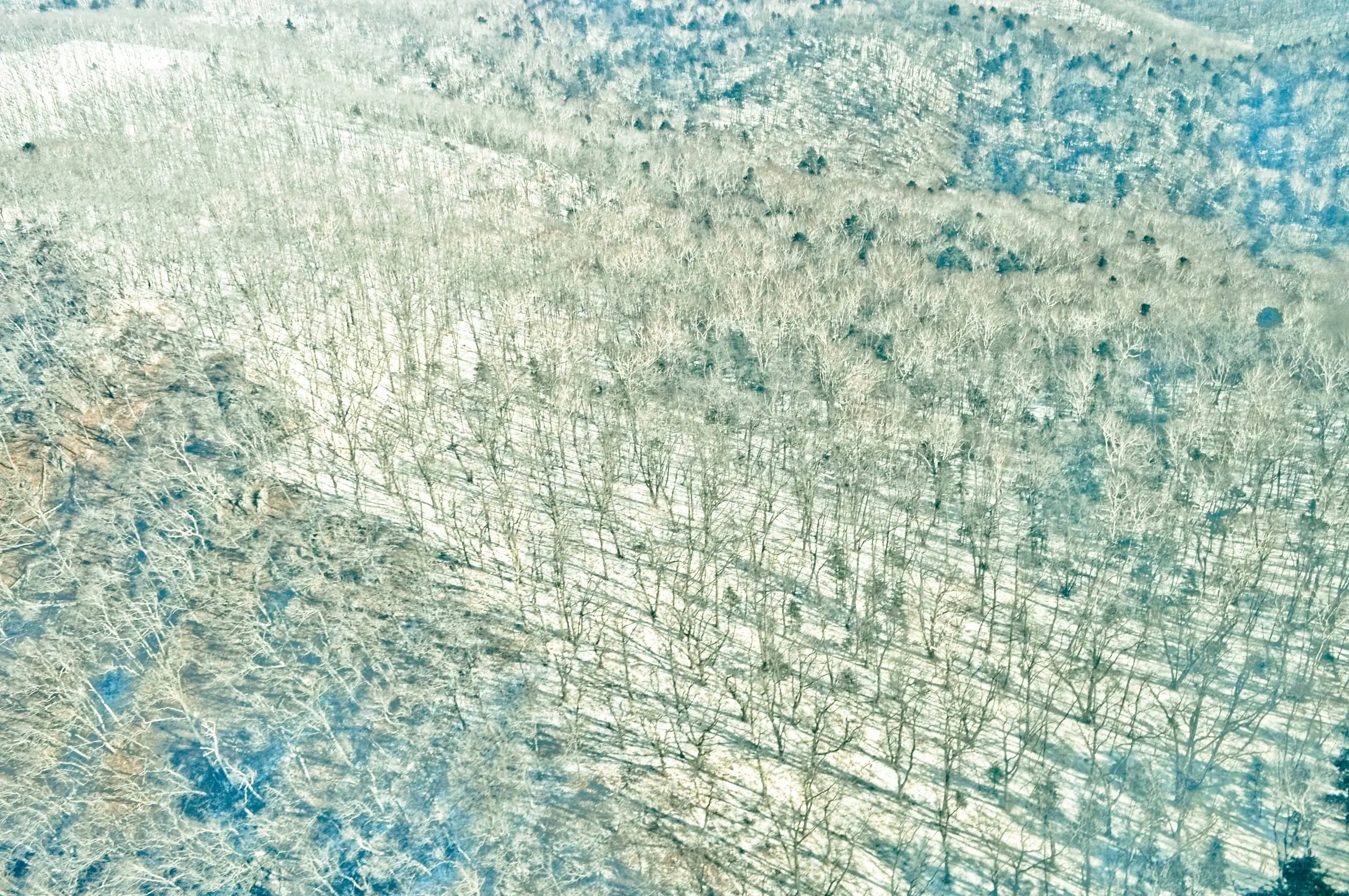 arte