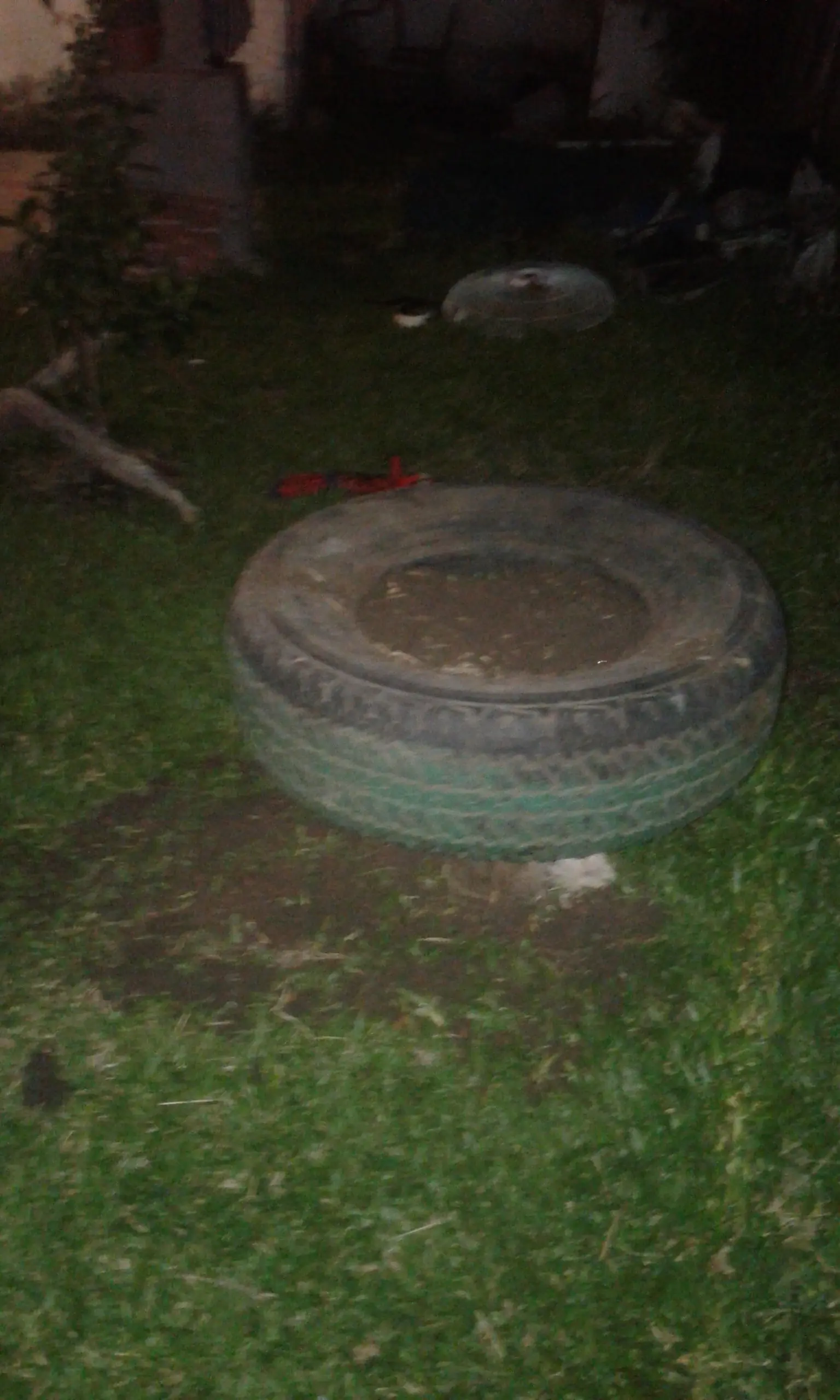 Hice un jardin flotante con cubiertas viejas