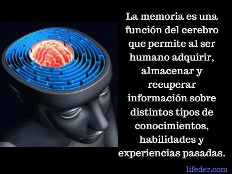 tipos de
