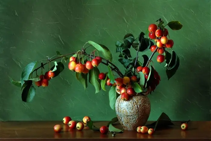 naturaleza