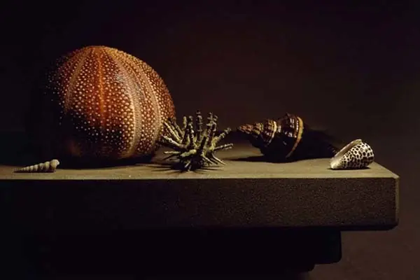 naturaleza