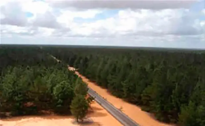 Venezuela tiene el bosque más grande del mundo