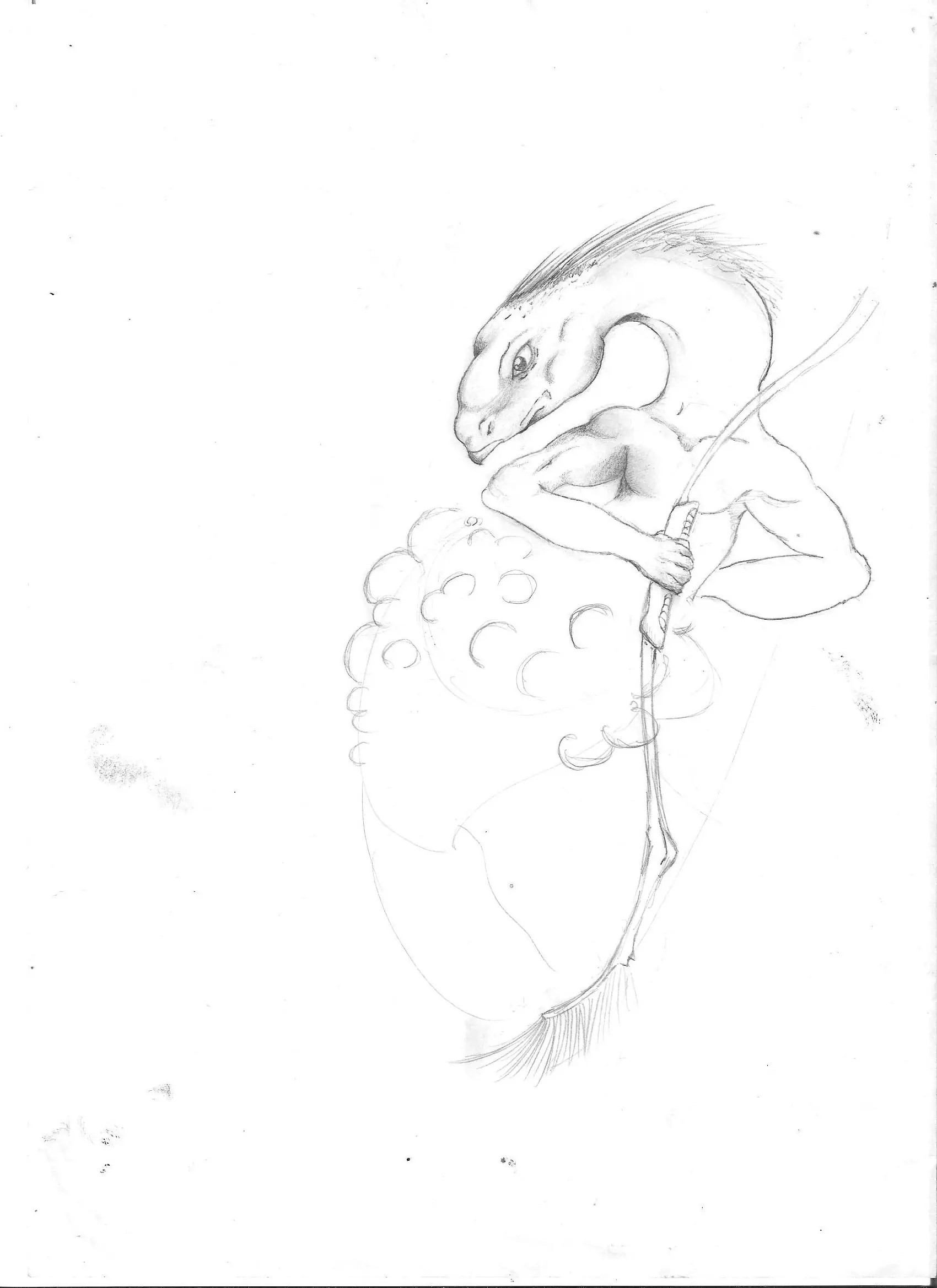 lapiz