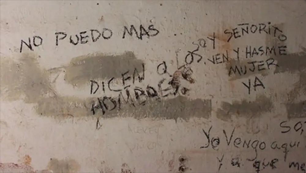 amor