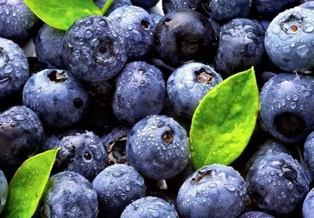 alimentos