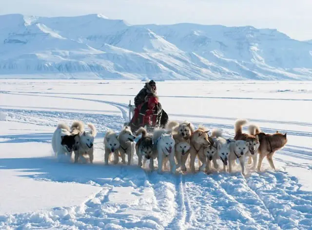 inuits