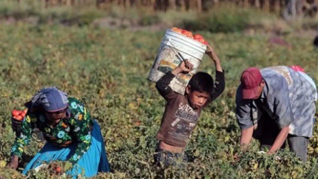 El capitalismo y su fracaso reinante